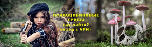 дмт Майский